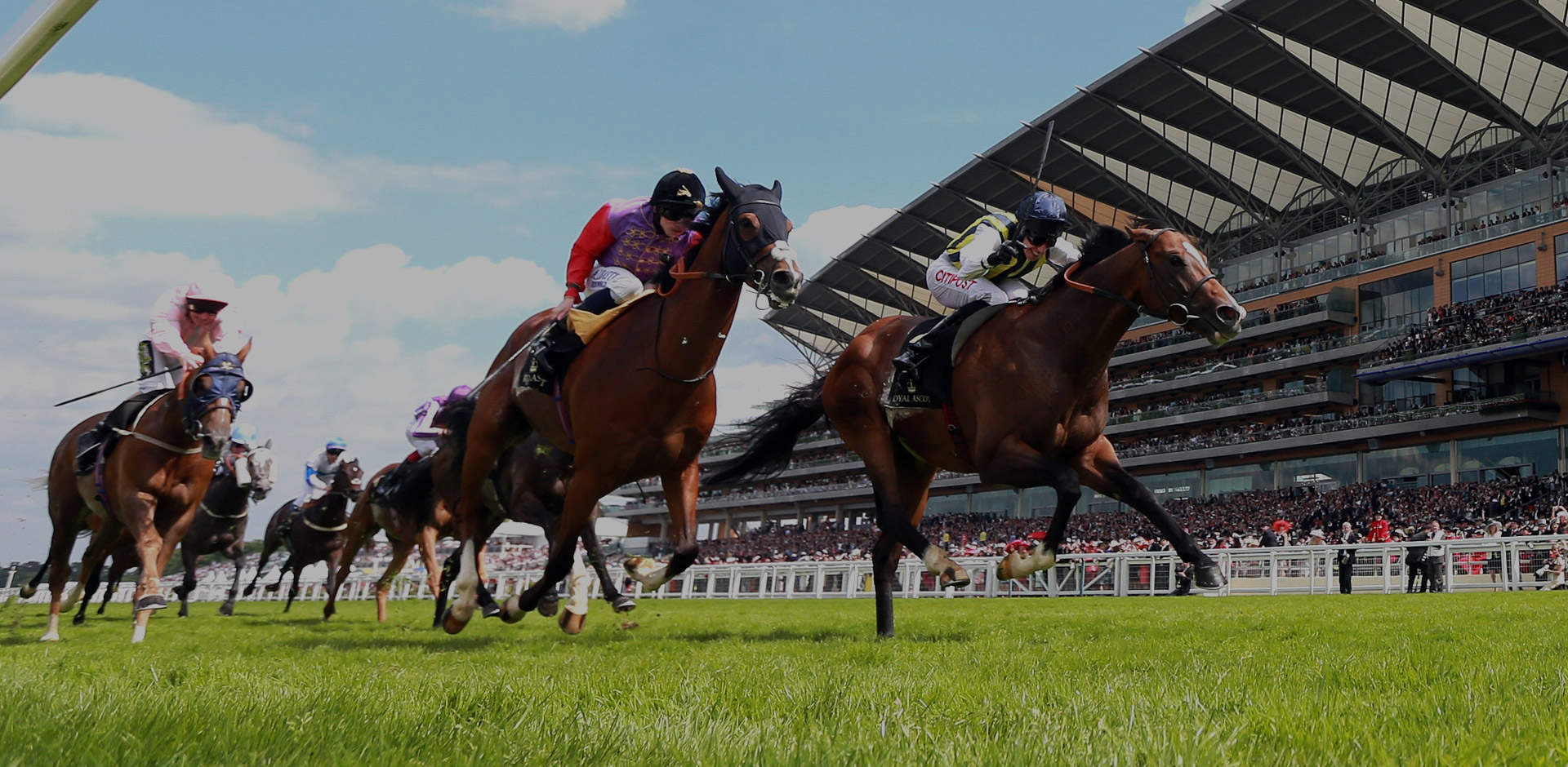 West Bromwich Royal Ascot